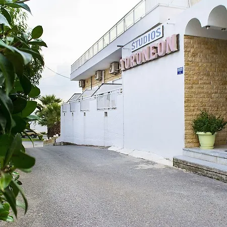 Toroneon